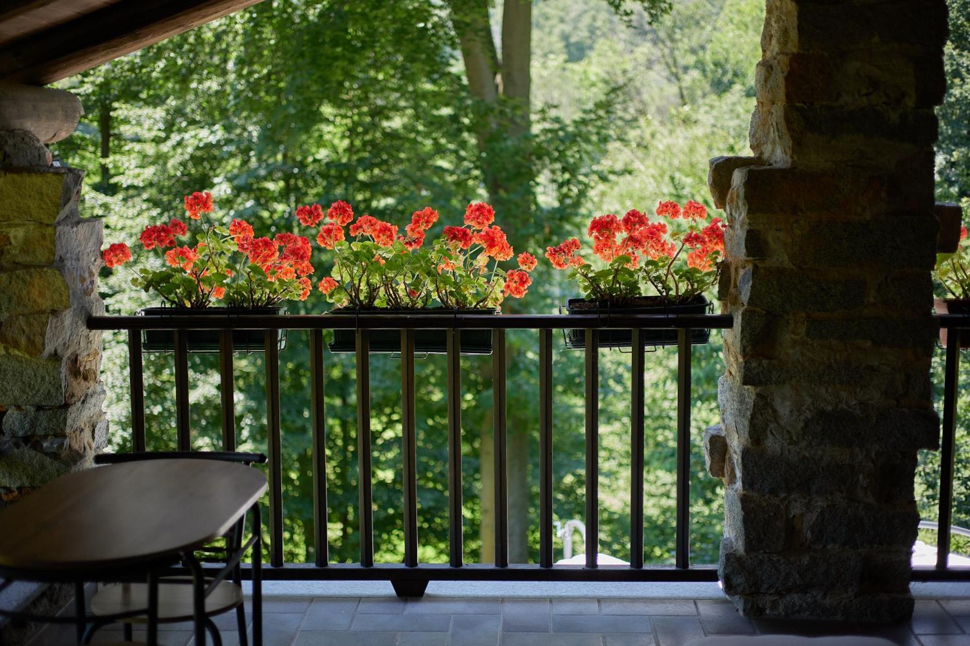 Villetta Con Giardino ⭑⭑⭑⭑⭑ - Wifi, Dogs Allowed Biella Exterior foto